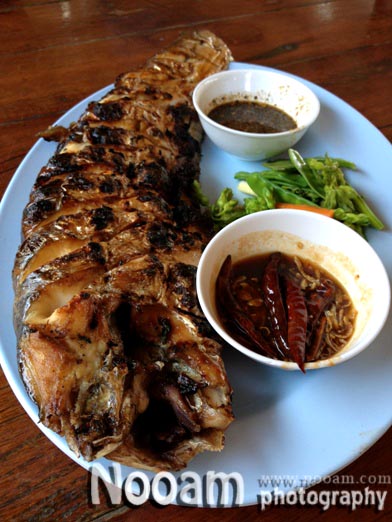 รีวิว ร้านต้นน้ำ ร้านอาหารริมน้ำ กุ้งเผาตัวใหญ่ อาหารอร่อย บางปะอิน อยุธยา